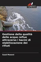 Saad Moeeni - Gestione della qualità delle acque reflue attraverso i bacini di stabilizzazione dei rifiuti