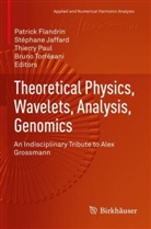 Patrick Flandrin, Stéphane Jaffard, Thierry Paul, Thierry Paul et al, Bruno Torresani - Theoretical Physics, Wavelets, Analysis, Genomics