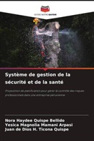 Yesica Magnolia Mamani Arpasi, Nora Haydee Quispe Bellido, Juan de Dios H. Ticona Quispe - Système de gestion de la sécurité et de la santé