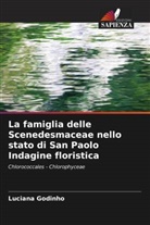 Luciana Godinho - La famiglia delle Scenedesmaceae nello stato di San Paolo Indagine floristica