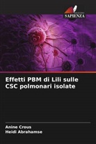 Heidi Abrahamse, Anine Crous - Effetti PBM di Lili sulle CSC polmonari isolate