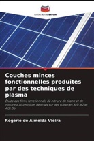 Rogerio de Almeida Vieira - Couches minces fonctionnelles produites par des techniques de plasma