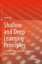 Zekâi ¿En, Zekâi Sen - Shallow and Deep Learning Principles
