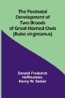 Donald Frederick Hoffmeister, Henry W. Setzer - The Postnatal Development of Two Broods of Great Horned Owls (Bubo virginianus)