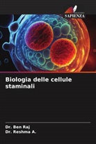 Dr. Reshma A., Reshma A., Ben Raj, Dr. Ben Raj - Biologia delle cellule staminali