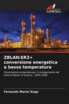Fernando Marini Köpp - ZBLAN:ER3+ conversione energetica a bassa temperatura