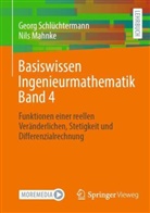 Nils Mahnke, Georg Schlüchtermann - Basiswissen Ingenieurmathematik Band 4