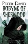 Peter David - Robyne of Sherwood
