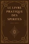 Achille Borgnis - Le livre pratique des spirites