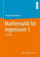 Westermann, Thomas Westermann - Mathematik für Ingenieure 1