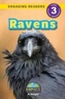 Aj Knight - Ravens