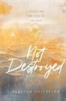 Rebecca Holtzclaw - Not Destroyed