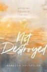 Rebecca Holtzclaw - Not Destroyed