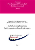 Reinhold Gutschik, Hudler-Seitzber, Michaela Hudler-Seitzberger, Emmerich Tálos, Elias Weiss - Sicherheitsempfinden und bedingungsloses Grundeinkommen