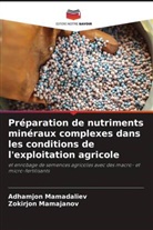 Adhamjon Mamadaliev, Zokirjon Mamajanov - Préparation de nutriments minéraux complexes dans les conditions de l'exploitation agricole