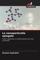 Peyman Aspoukeh - Le nanoparticelle spiegate