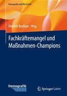 Budliger, Hendrik Budliger - Fachkräftemangel und Maßnahmen-Champions