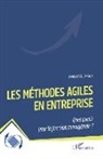 Frédéric Plan - Les méthodes Agiles en entreprise