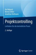 Jonathan Hofmann, Kai Nobach, Bernd Zirkler - Projektcontrolling