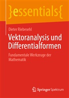 Dieter Riebesehl - Vektoranalysis und Differentialformen