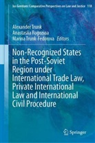 Anastasiia Rogozina, Alexander Trunk, Marina Trunk-Fedorova - Non-Recognized States in the Post-Soviet Region under International Trade Law, Private International Law and International Civil Procedure