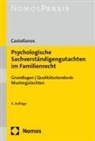 Helen A Castellanos, Helen A. Castellanos - Psychologische Sachverständigengutachten im Familienrecht