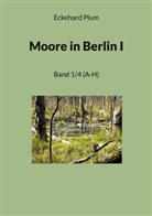 Eckehard Plum - Moore in Berlin I