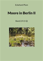 Eckehard Plum - Moore in Berlin II