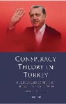 Julian de Medeiros - Conspiracy Theory in Turkey