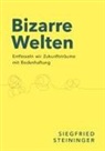 Siegfried Steininger - Bizarre Welten