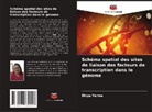 Divya Verma - Schéma spatial des sites de liaison des facteurs de transcription dans le génome