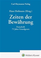 Hans Hofmann, Hans Hofmann - Zeiten der Bewährung