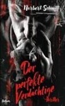 Norbert Schmitt - Der perfekte Verdächtige - Thriller