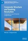 Marcelo J Sheppard Gelsi, Marcelo J. Sheppard Gelsi - Corporate Structure and Banking Resolution