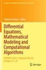 Vladimir Vasilyev - Differential Equations, Mathematical Modeling and Computational Algorithms