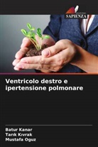 Tar¿k K¿vrak, Batur Kanar, Tarik Kivrak, Mustafa Oguz - Ventricolo destro e ipertensione polmonare