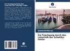 Abdelhafid Mimouni - Ein Tauchgang durch das Labyrinth der Schottky-Fehler