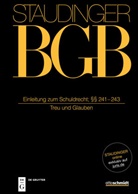 Dirk Looschelders, Dirk Olzen, Gottfried Schiemann - J. von Staudingers Kommentar zum Bürgerlichen Gesetzbuch mit Einführungsgesetz und Nebengesetzen. Recht der Schuldverhältnisse - Buch 2: Einleitung zum Schuldrecht; §§ 241-243