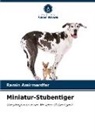 Ramin Amirmardfar - Miniatur-Stubentiger