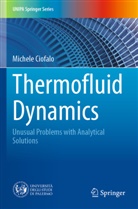 Michele Ciofalo - Thermofluid Dynamics