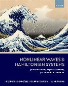 Ricardo (Professor Carretero-Gonzalez, Ricardo Carretero-González, Dimitrios J. Frantzeskakis, Panayotis G. Kevrekidis, Kevrekidis Panayotis G. - Nonlinear Waves & Hamiltonian Systems