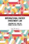 Hamid Younesi, Hamid R. Younesi - International Energy Investment Law