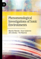 Ivan Gutierrez, Martin Nitsche, Vít Pokorný, Ji¿í Zelenka, Jiri Zelenka, Jirí Zelenka... - Phenomenological Investigations of Sonic Environments