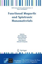 Burkard Hillebrands, Denys Makarov, Oleksandr Prokopenko, Alexander Serha, Alexander Serha et al, Igor Vladymyrskyi - Functional Magnetic and Spintronic Nanomaterials