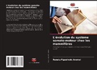 Renata Figueiredo Anomal - L'évolution du système somato-moteur chez les mammifères