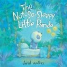 David Walker, David Walker - The Not-So-Sleepy Little Panda
