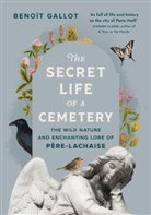 Benoît Gallot, Benot Gallot, Daniel Casanave - The Secret Life of a Cemetery