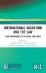 Ida Caracciolo, Caracciolo Ida, Giovanni Cellamare, Angela Di Stasi, Pietro Gargiulo - International Migration and the Law