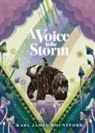 Karl James Mountford, Mountford Karl James, Mountford Karl James - Voice in the Storm