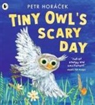 Petr Horacek, Petr Horácek, Petr Horácek - Tiny Owl''s Scary Day